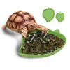 Durable reptile feeding basin for tortoises, lizards, and turtles, made from non-toxic plastic