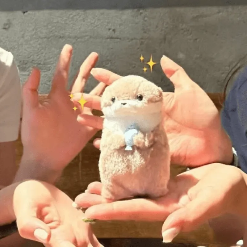 Person holding a cute otter plush toy, emphasizing its adorable charm and playful nature.