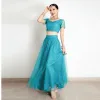 Elegant Pakistani Sari - A beautiful dress for women featuring intricate designs and vibrant colors.
