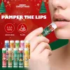 10PCS Hydrating Lip Balm Box - Ultimate Lip Care Christmas Gift