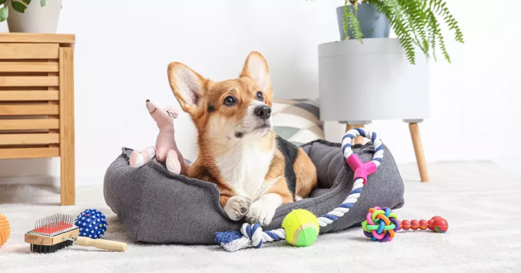 Pet niche