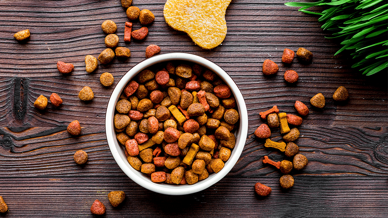 A bowl filled with dog food on a surface.