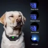 adjustable dog training collar – waterproof remote collar for training