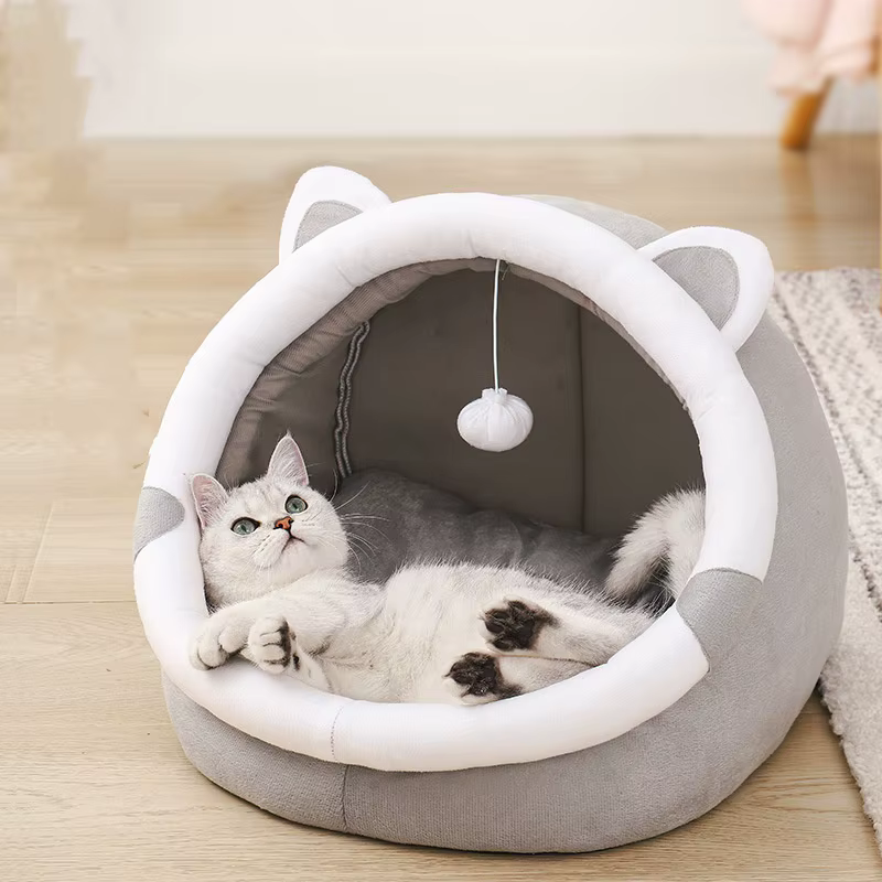 a semi closed cat home