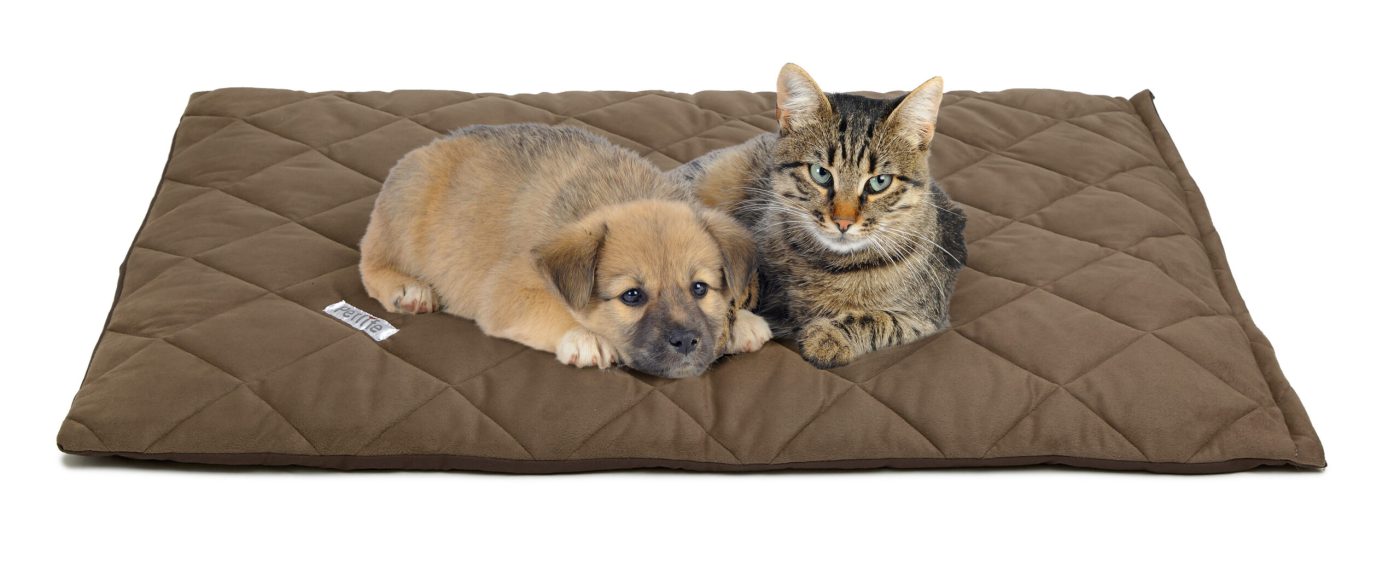 a puppy and cat in a pet bed.