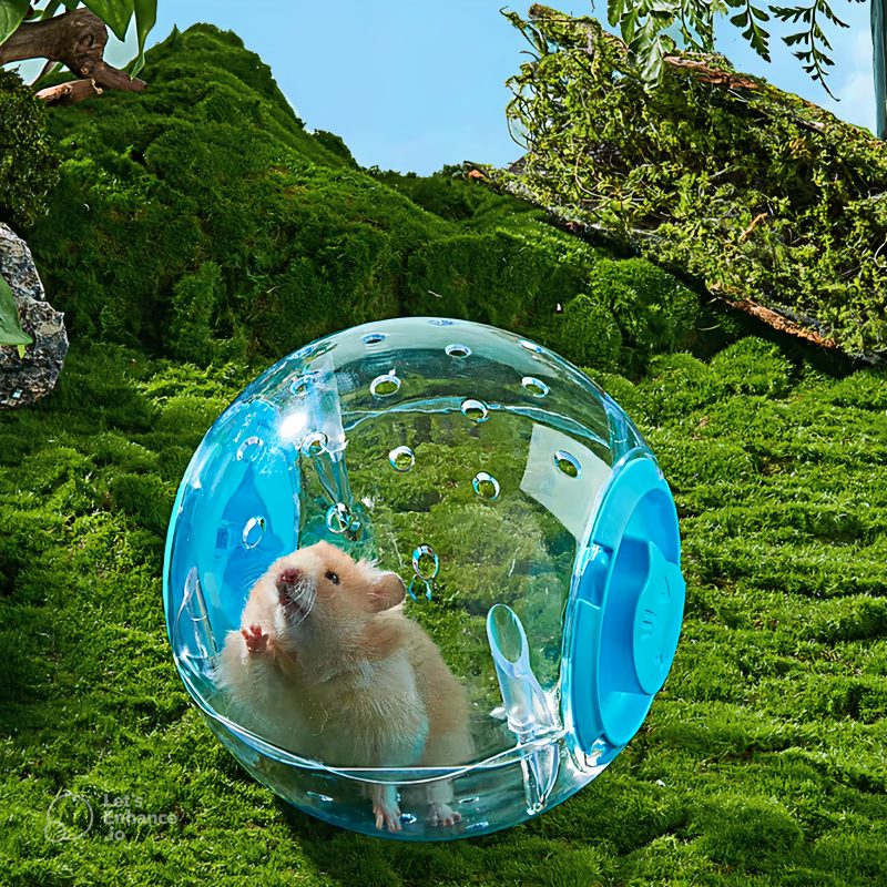 Pet niche for exotic pets: blue exercise ball for hamsters and small mammal