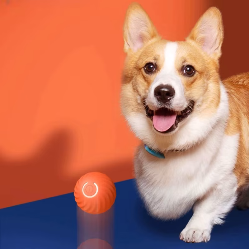 Pet Toy: high tech toy ball