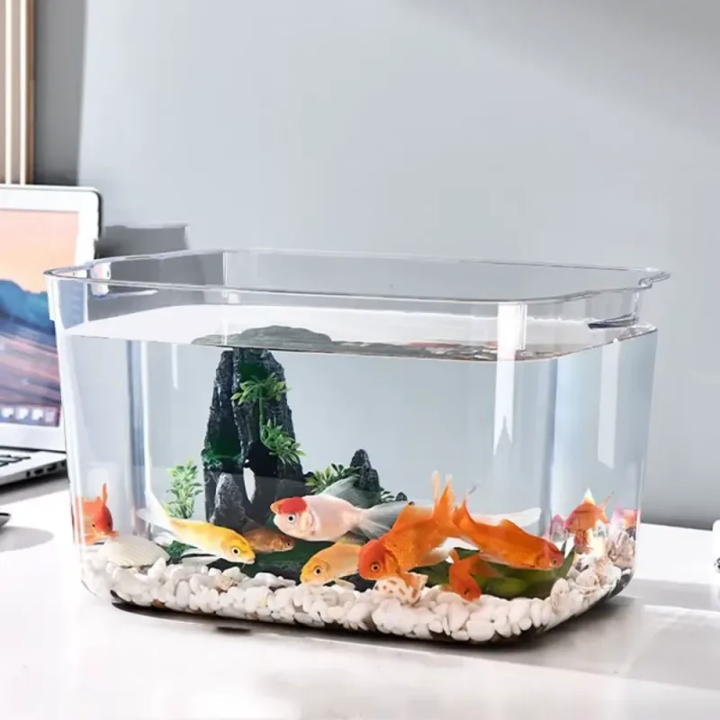 A transportable plastic fish bowl with fish swimming and decorative elements inside.