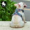 A dog sitting while wearing a truelove pet harness
