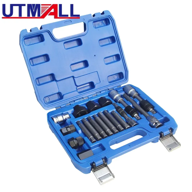 The strong case for the alternator tool kit.