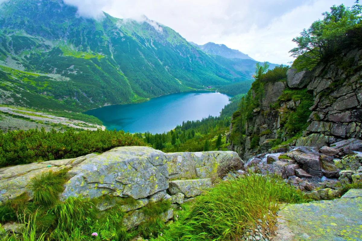 beautiful nature