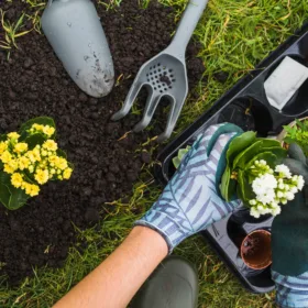 Gardening
