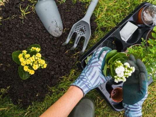 Gardening