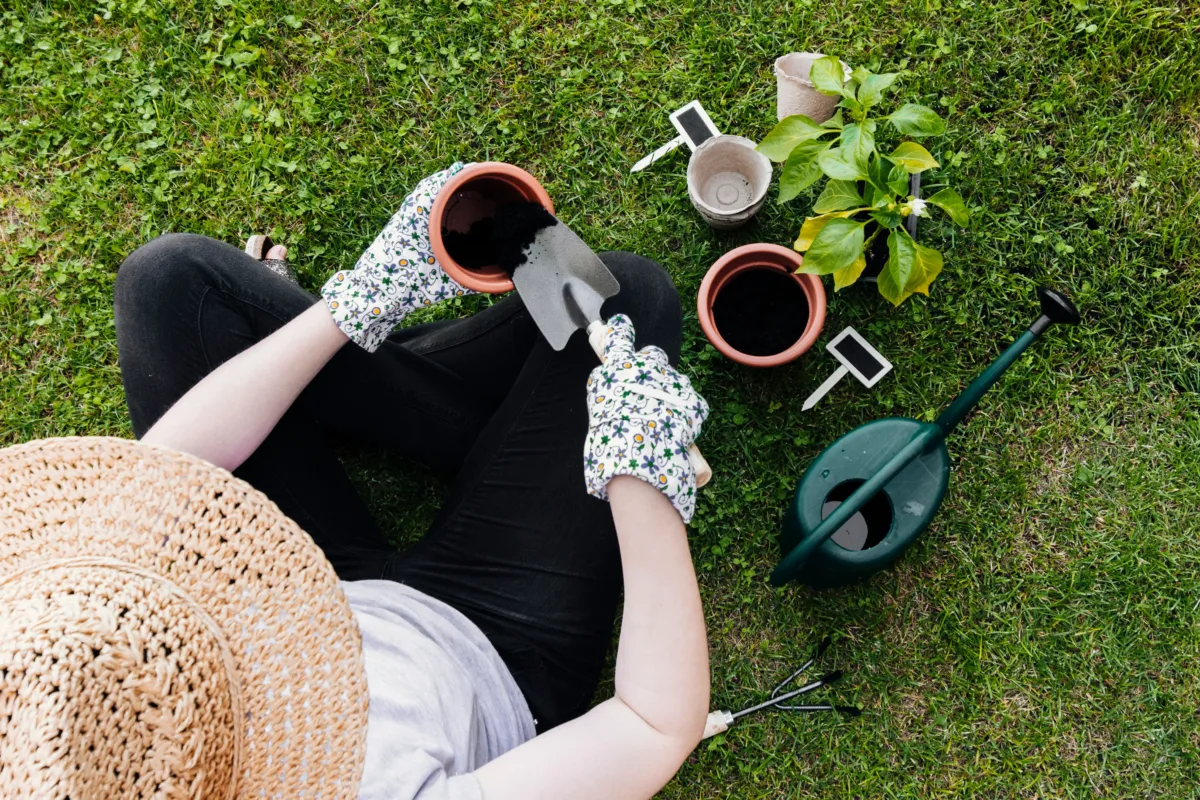 Woman doing gardening