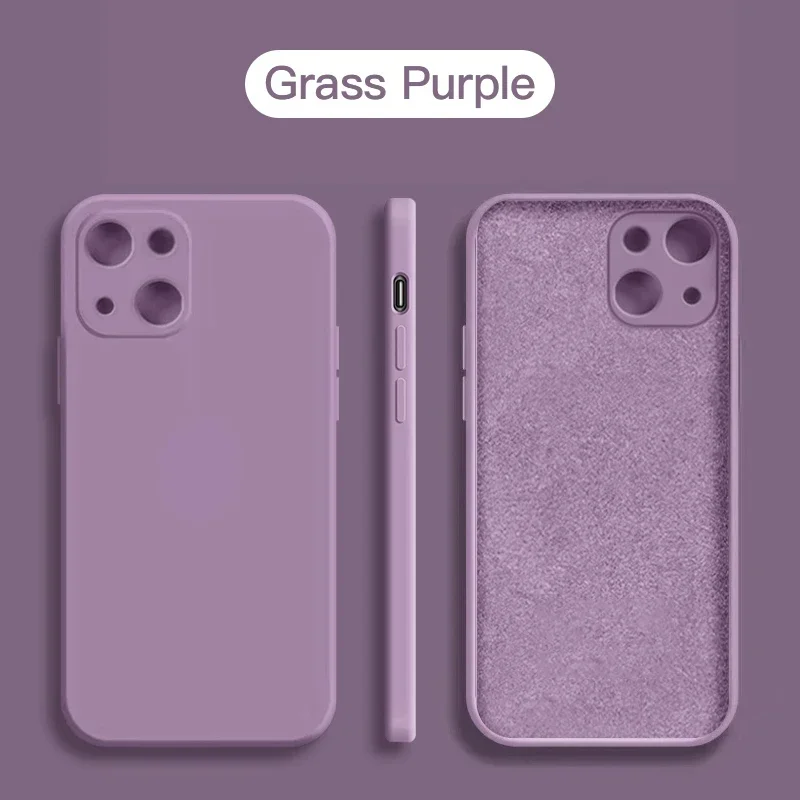 Grass Purple