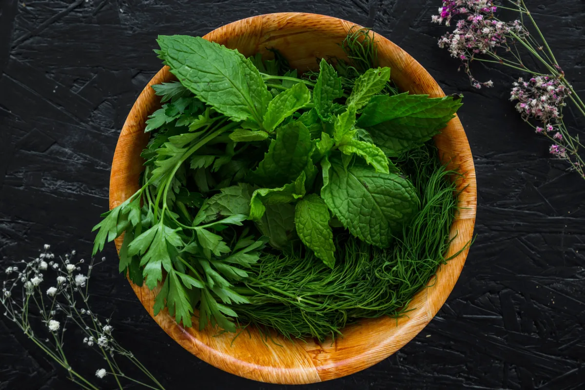 to Keep Fresh Herbs 
