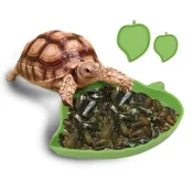 Durable reptile feeding basin for tortoises, lizards, and turtles, made from non-toxic plastic