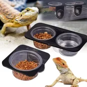 Reptile Tank Insect Spider Ants Nest Feeding Bowl with food and water for various pets.