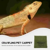 Reptile Moss Carpet in a terrarium, showcasing its natural texture and color.