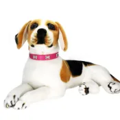 Bone Leather Durable Pet Dog Collar with adjustable fit for small and large dogs.